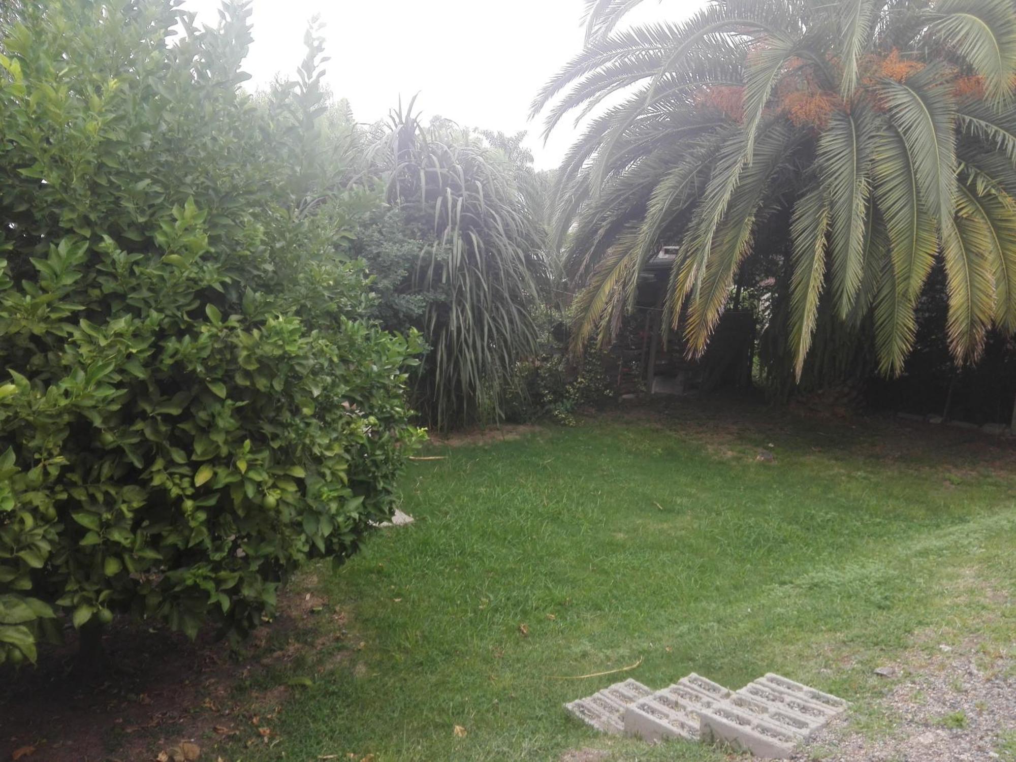 La Casita De Colonia 2 Villa Colonia del Sacramento Kültér fotó